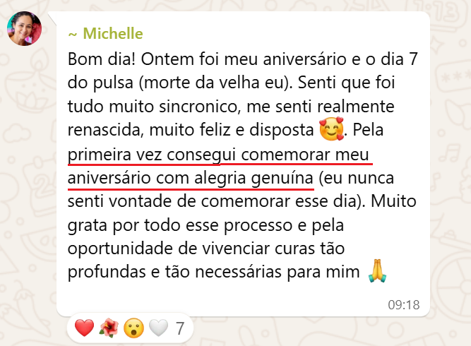 Depoimento da Michelle Ferreira sobre o Método PULSA